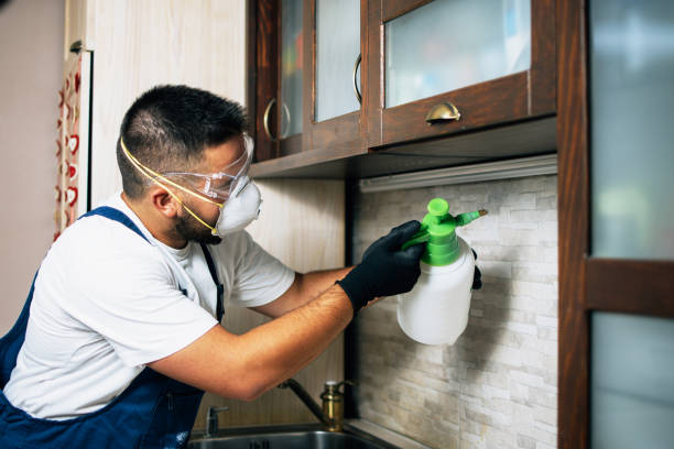 Best Mosquito Control Services  in Half Moon, NC