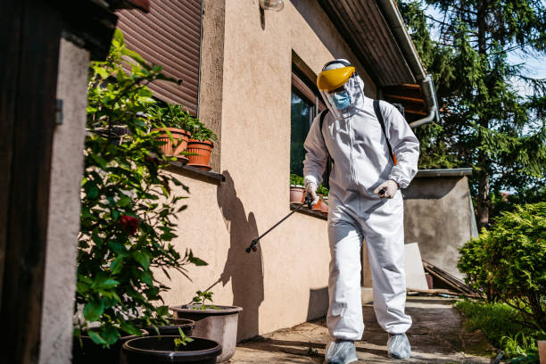 Best Ant Control Services  in Half Moon, NC