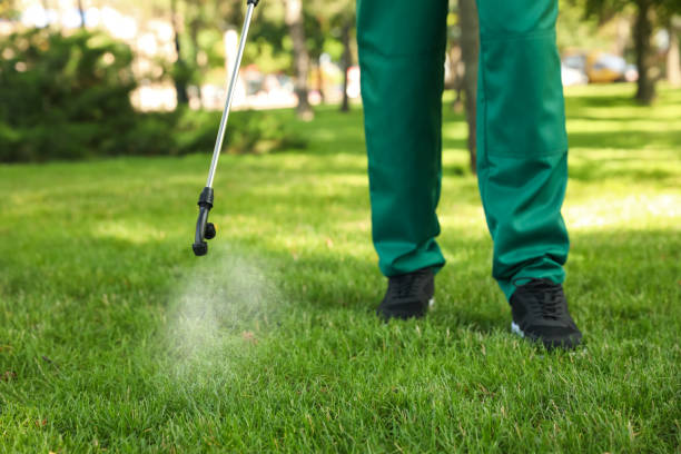 Best Insect Control  in Half Moon, NC