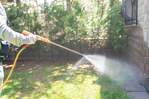 Best Flea Control Services  in Half Moon, NC