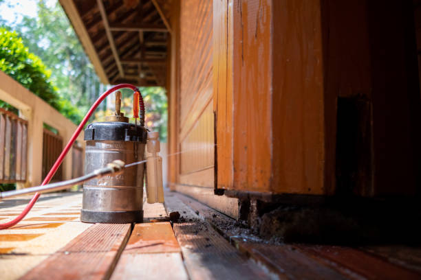 Pest Control for Restaurants in Half Moon, NC