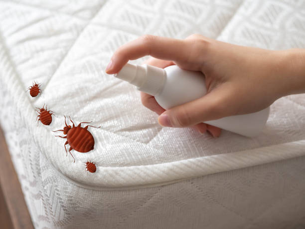 Best Cockroach Control Services  in Half Moon, NC