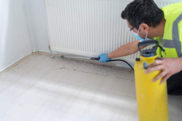 Best Pest Prevention Services  in Half Moon, NC