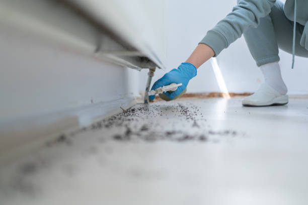 Best Residential Pest Control  in Half Moon, NC
